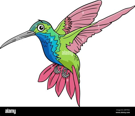 Hummingbird Bird Animal Character Cartoon Illustration Stock Vector