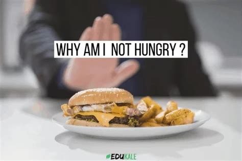 why am i not hungry top 5 reasons and what to do edukale health and wellness through