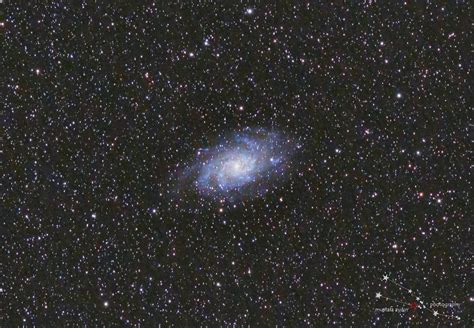 Triangulum Galaxy Messier 33 Messier 33 M33