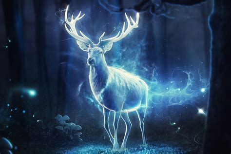 Download Spirit Magic Fantasy Deer Hd Wallpaper By Hosney Qanadelo
