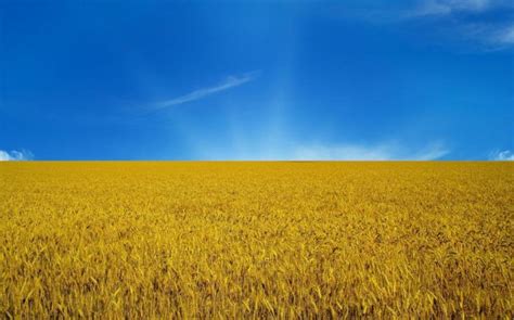 Bandiere in tessuto di poliestere di qualità. Bandiera gialla-blu dell'Ucraina, la sua storia e il destino