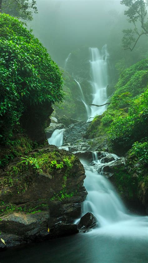Waterfall In Forest Yanam India Windows Spotlight Images