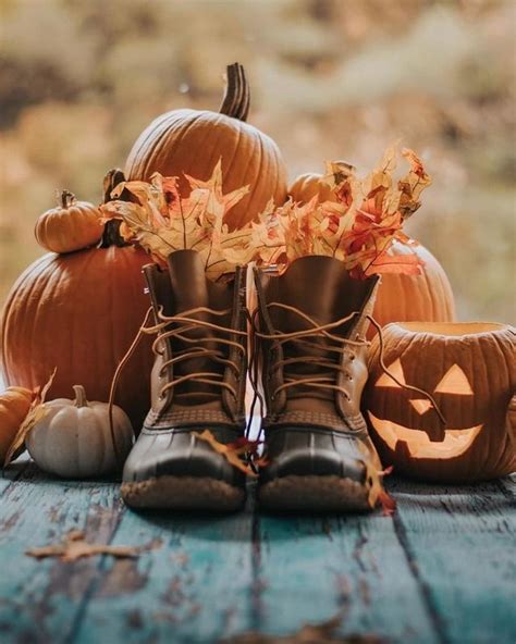 A Fall Autumn Halloween Thanksgiving Blog In 2020 Autumn