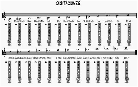 Todas Las Notas De La Flauta Dulce Soprano Flautín Extremo