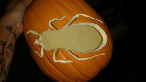 Assassin Beetle Pumpkin Carving Pumpkin Carving Pumpkin Carving