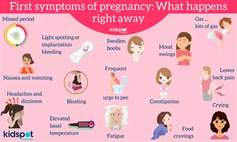Pregnancy Symptoms After Ovulation Prenatal Vitamins