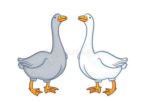 Two Geese White And Gray Cartoon Funny Goose Isolated On White