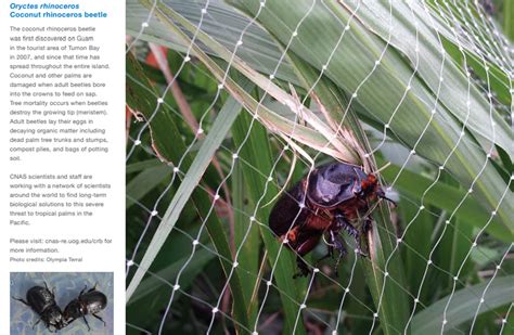 Guam Invasive Species Council Biosecurity Division