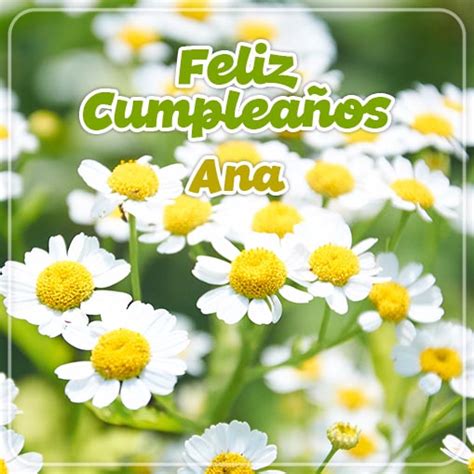 Feliz Cumpleaños Ana Imagenessu