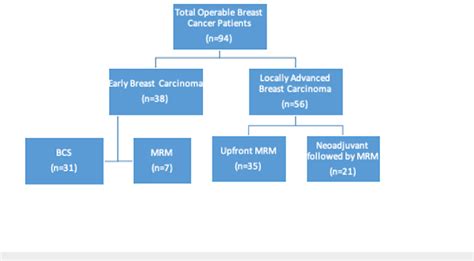 The Treatment Modalities Employed In Breast Cancer Patients Bcs