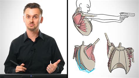 Anatomy Drawing Critiques The Shoulders Youtube