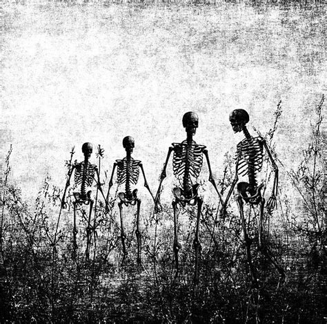 Pin By Seresvictoria Hellsing On Skeletons Skulls And Bones Surreal