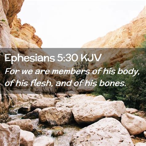 Ephesians 530 Kjv For We Are Members Of His Body Of His Flesh And