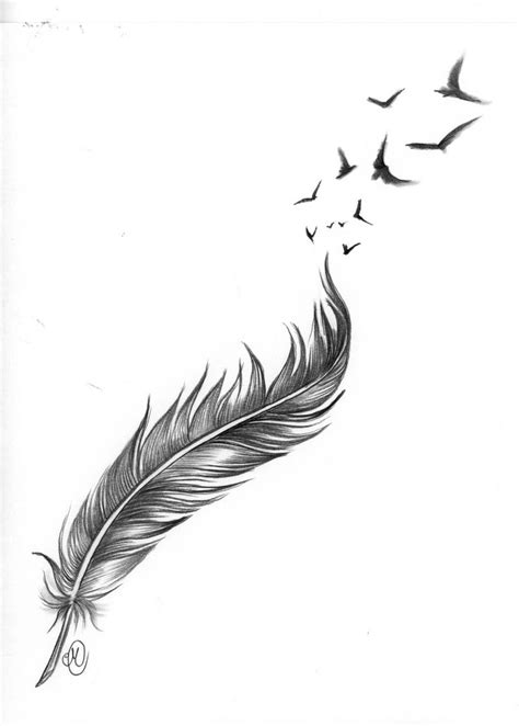 Feathers And Birds — Steemit Feather Tattoo Design Feather With