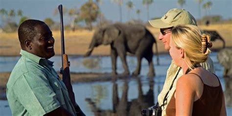 Zimbabwe Safari Tours Luxury African Safari Tours