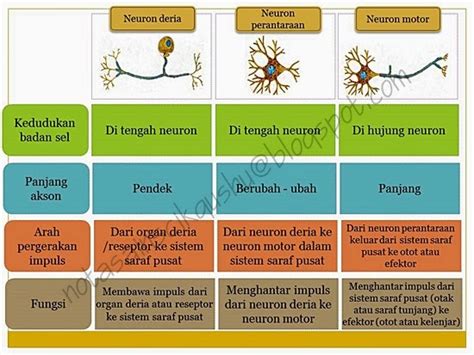 Kami berharap dengan nota disediakan dapat menepati segala keperluan pelajar untuk membuat rujukan atau persediaan menghadapi peperiksaan dan memperoleh. Nota Sains Tingkatan 4 Bab 2 | Nota Cikgu Shu