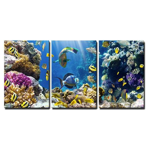 Wall26 3 Piece Canvas Wall Art Photo Of A Tropical Fish On A Coral