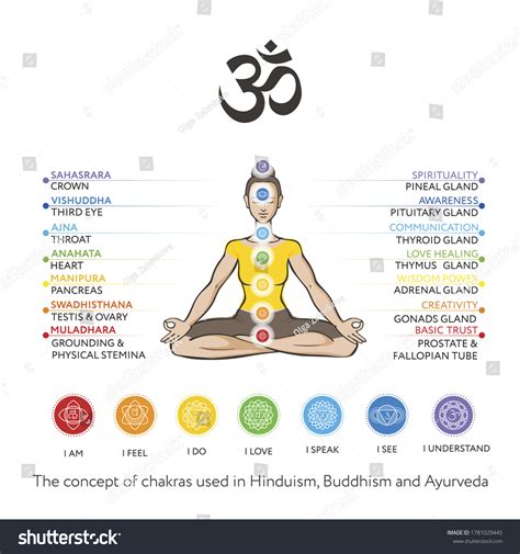 Chakras System Of Human Body Used In Hinduism Royalty Free Stock Vector 1781029445