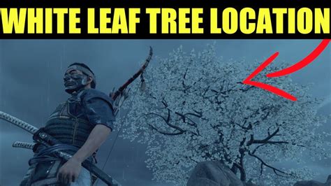 Ghost Of Tsushima Look For The White Leafed Tree Where To Find The