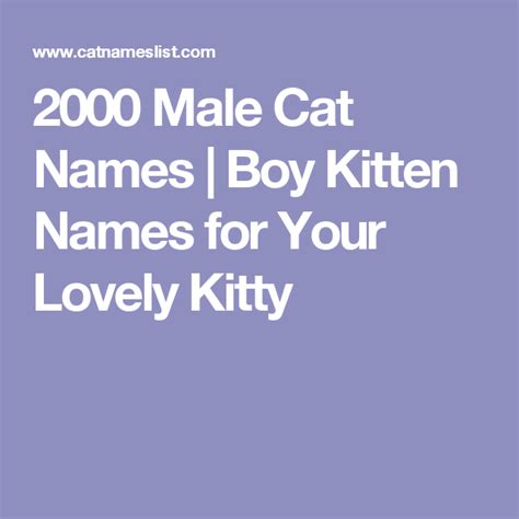2000 Male Cat Names Boy Kitten Names For Your Lovely Kitty Kitten