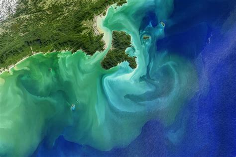 Studying Coastal Phytoplankton Blooms And Oil Spills Stoke Space Reusable Rockets USA