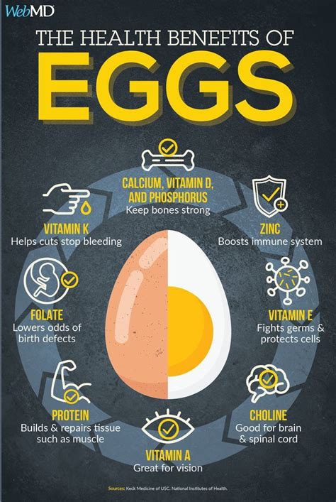 Eggs Are Very Healthy There Are So Many Benefits Of Eggs Health