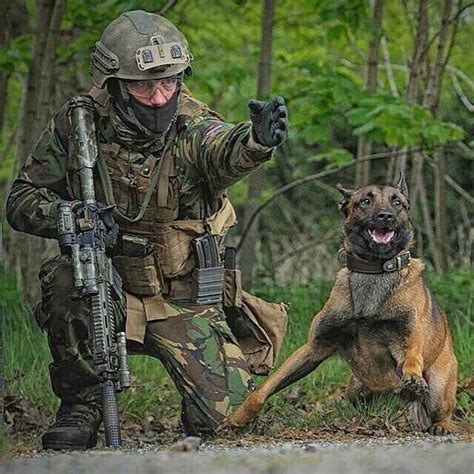 Pin By Irene Schmigiel On K9 Military Dogs Military Working Dogs
