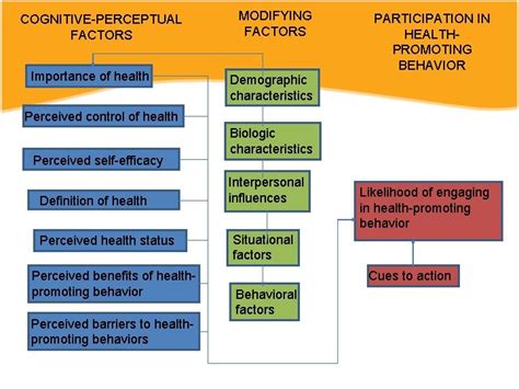 Theory Evaluation Of Penders Health Promotion Model Hpm