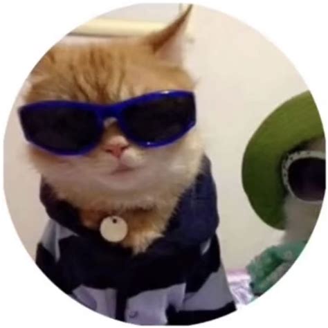 Round Icon Pfp Cute Cool Cat Sunglasses Dressed Aesthetic Y2k Profile
