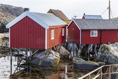 Old Traditional Fisherman S House Called Rorbu At Nusjord In Lofoten