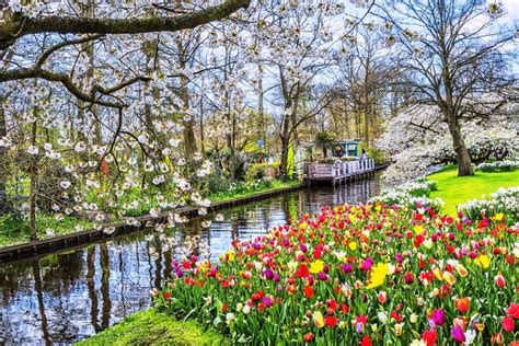 Photos Of The Netherland S Biggest Gardens Million Blooms Diy Crafts
