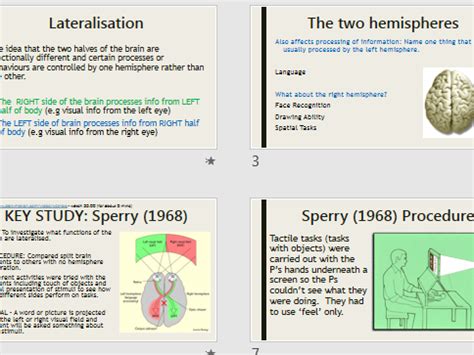 2 chapter 1 ▶ biopsychology as a neuroscience. BIOPSYCHOLOGY Year 2 AQA Psychology - Full lesson and ...