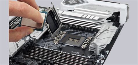 Amd And Intel Lga Cpu Installation Guide