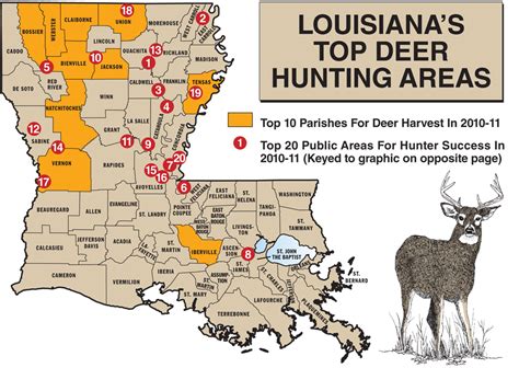 2011 Louisiana Deer Forecast Game And Fish