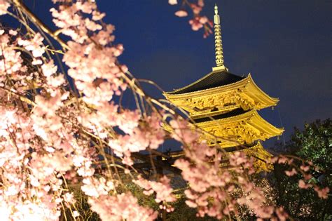 13 Best Places To See Cherry Blossoms In Kyoto 2020 Japan Web Magazine