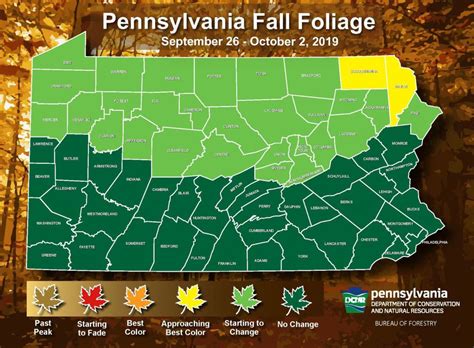 Pennsylvania Fall Foliage Report Nothing Much As Yet For Leaf Peepers