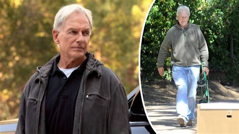 What Has Ncis Actor Mark Harmon Been Up To Since Leaving The Show Curious World