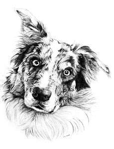 Maybe you would like to learn more about one of these? Draw the Special Animals in Your Life | Ink pen drawings, Animal drawings, Watercolor painting ...