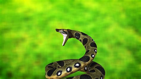 Anaconda Python Rilocolumbus