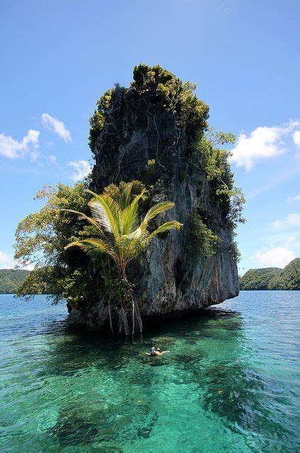 Palau Islands In Micronesia Lugares Para Viajar Maravilhas Do Mundo
