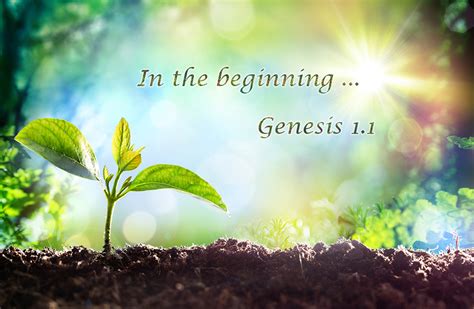Parasha Bereisheet Genesis The Goodness Of Gods Creation