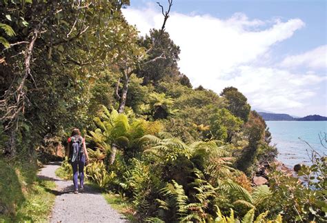 Things To Do On Stewart Island New Zealand — Travels Of A Bookpacker