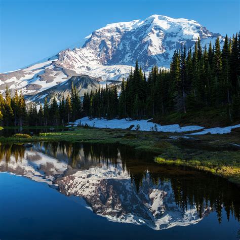 Celebrate the National Park Service Centennial at Mt. Rainier - Our Blog