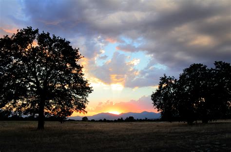 Sunset At Mcconnells Lema Ranch Redding Ca Redding California