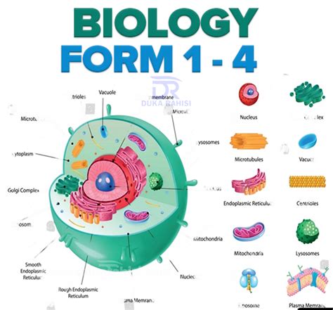 Biology Notes For Ordinary Level Form 1 4
