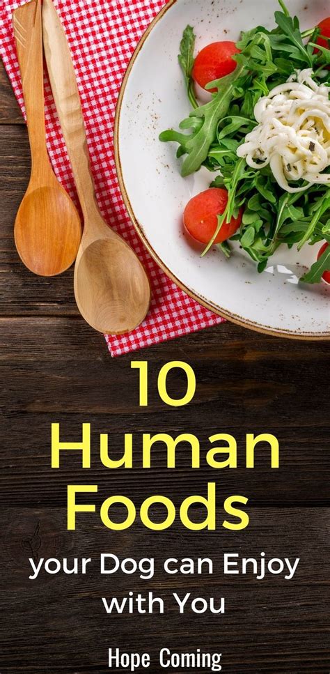 Many dog owners think switching to a homemade raw foods diet will help their dog fight cancer. 10 Best Human Food for Dogs | Dog food recipes, Human food ...