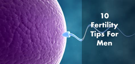 top 10 fertility tips for men simple and effective swimguide