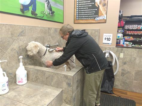 We did not find results for: DIY Dog Washing at Pet Valu