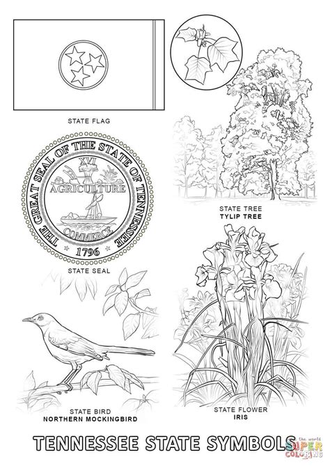 Tennessee State Symbols Coloring Page Free Printable Coloring Pages