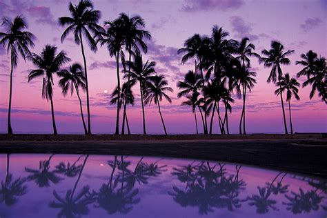 Download Purple Image Sunsets Hd Wallpaper And Background Photos By